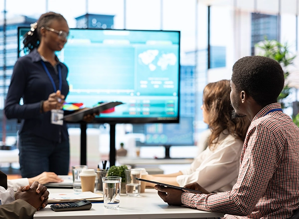 IT Services Consultation 